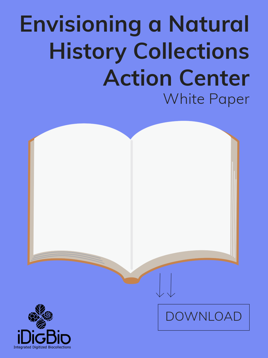 A graphic showing a whitepaper for download