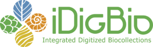 iDigBio Logo RGB.png